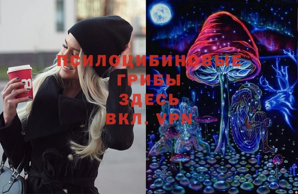 spice Балабаново