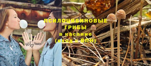 мет Балахна